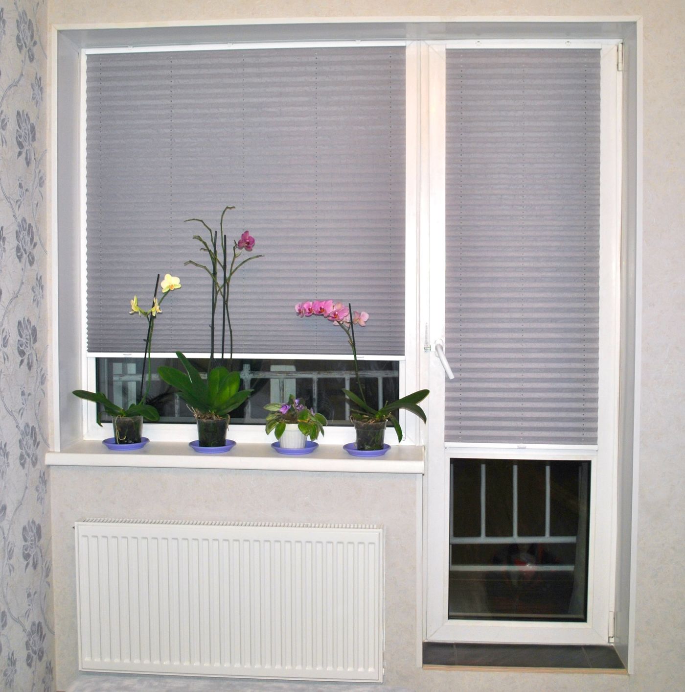 «Роликон» - производство и установка рулонных штор и жалюзи в Новосибирске